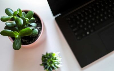 Demystifying The Mentally Healthy Workplace