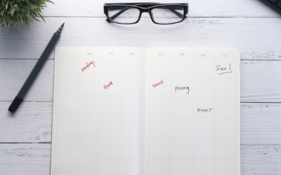 What does someone who helps Leaders Transform Workplaces get up to in her day job!