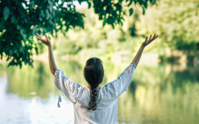 Bringing the Outside In – Using Nature in the Office to Boost Mood