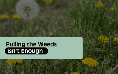 Pulling the Weeds isn’t Enough
