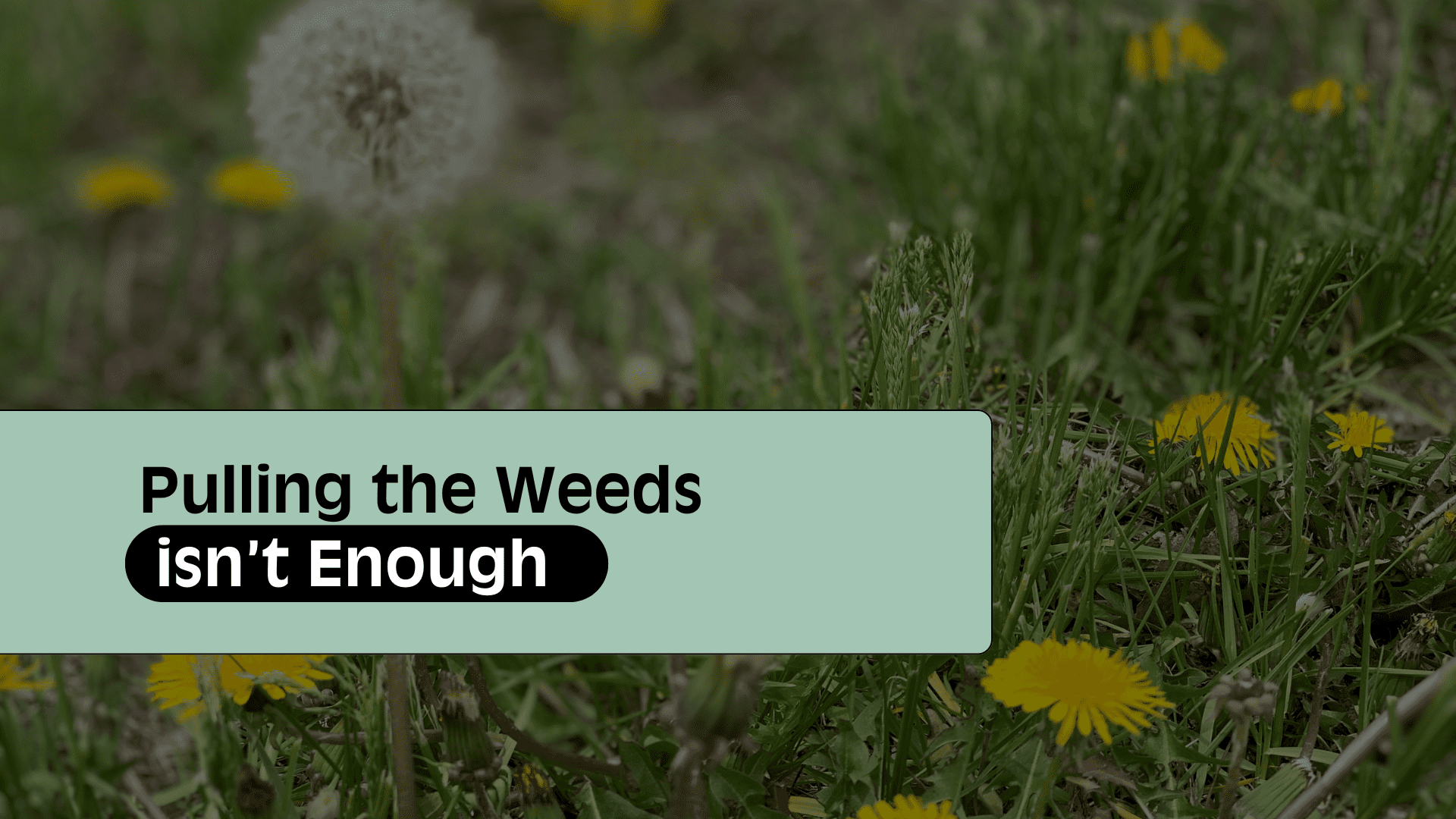 The 4 M’s of Workload Management